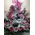 Romantic pink flowers arrangement