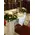 Wedding flower & candles decoration with tropic and autumn flavor colors