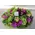 Orchids and roses on metal tray with accessories!!!