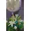 Arrangement of flowers for new born baby