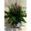 Glass tulips flower arrangement.
