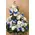Flowers for new born baby