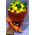 Ανθοδέσμη από (20) κίτρινα Ολλανδικά τριαντάφυλλα Α' ποιότητος με πρασινάδες (extra κρασί & σοκολατάκια)