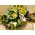 Yellow bouquet