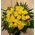 Καλάθι με (21) κίτρινα Ολλανδικά τριαντάφυλλα Α' ποιότητος με πρασινάδες