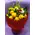 (20) yellow roses A' quality Dutch gift wrapped with greens