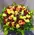 Pink & Red Roses (100) stems round basket arrangement. Exclusive Varieties !