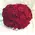 X-Large Red Roses Bouquet !!! (200) Heads !!! Exclusive !!!