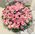Pink Roses (100) stems round basket arrangement