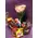 Flower arrangement in basket with Easter Gourmet Delicacies !
