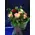 Big headed ecuadorian roses bouquet (35 stems) with greens !!!