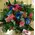 Red and blue flowers bouquet