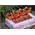 (12) Exclusive Waxed Cupcakes or Chocolate Roses