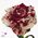 Τριαντάφυλλα "Harlequin"( 21) τεμ. Μπουκέτο. Νέο !!!