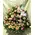 "Only"  Pink Roses Basket. Exclusive.
