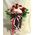 (25) κόκκινα & ροζ  τριαντάφυλλα Ολλανδικά μπουκέτο με πρασινάδες + Ποιοτικό κεραμικό βάζο. Σούπερ προσφορά .