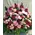 "Only"  Pink Roses Basket. Exclusive.