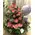 Basket arrangement with balloon