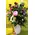 Paeonias (20) stems in fine quality ceramic vase.Exclusive