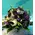 Wedding flower & candles decoration with "Black" "White" "Lilac" colors