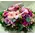 Rich romantic pink colored flower arrangement