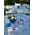 Wedding flower & candles decoration with "Blue Vanda" and Season Summer Flowers