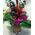 Christmas  Exclusive Bouquets