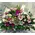 Exclusive Flowers  & Decoration In Big  Basket.