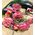Μπουκέτο με ecuador τριαντάφυλλα (11 τεμ.) (Μεγάλα υπέροχα λουλούδια)!!!