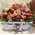 Goodies  Basket ! Flowers & Fruits ! Exclusive (2) baskets.
