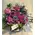 Christmas winter basket with elegant flowers