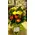 Season flowers bouquet in glass vase with colored water !!!