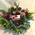 Christmas red flowers in  basket. Exclusive!!!