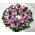 Condolences wreath EXTRA  (pink) (diam. appr 1,00m)