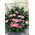 Basket flower arrangement for new born baby
