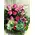 Decorative flower arrangement