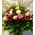 (21) orange - salmon  roses A' quality Dutch or Ecuador with greens gift wrapped.