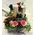 Basket Wine + Chocolates  !!!Exclusive.
