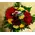 Ανθοπωλείο flowershop.gr Χειμώνας με κόκκινα & πορτοκαλί λουλούδια σε καλάθι.