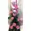 Roses and snake grass (baboo) in vertical parallel arrangement