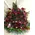 Arrangement with exclusive Red roses + Cymbidium ochids !!!