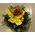 Flower arrangement in glass tray with autumn flavor