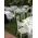 Wedding flower & candles decoration with "wreaths"