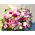 Σύνθεση με (+50) τριαντάφυλλα Εκουαδορ ! & ιδιαίτερες ποικιλίες λουλουδιών σε καλάθι