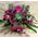 Arrangement in glass vase with romantic Roses (20 stems)  & colored decorative sand!!!
