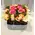 Exclusive Waxed Roses arrangement in pot