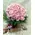 (40) pink roses in glass vase with colored water + whine + bear .Exclusive.
