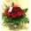 (21) κόκκινα τριαντάφυλλα Ολλανδικά σε βάζο με χρωματιστή άμμο. Σούπερ προσφορά.