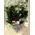 Roses black (9) stems arrangement in vase. Dyed.