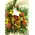 Vase with phalaenopsis or vanda or cymbidium orchids